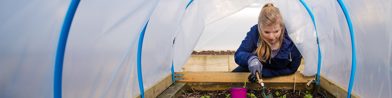 A student in a polytunnel