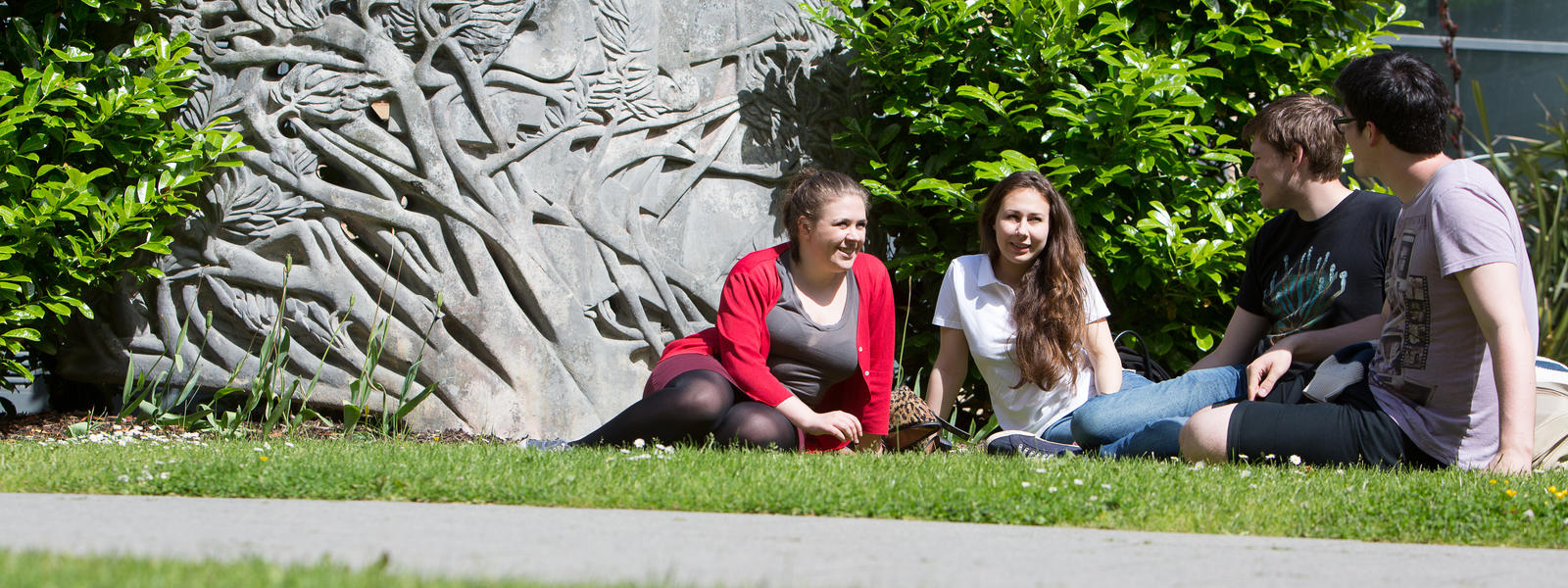 Students sitting on a campus lawn in the sunshine