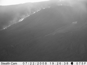 Etna 2008 lava pulses