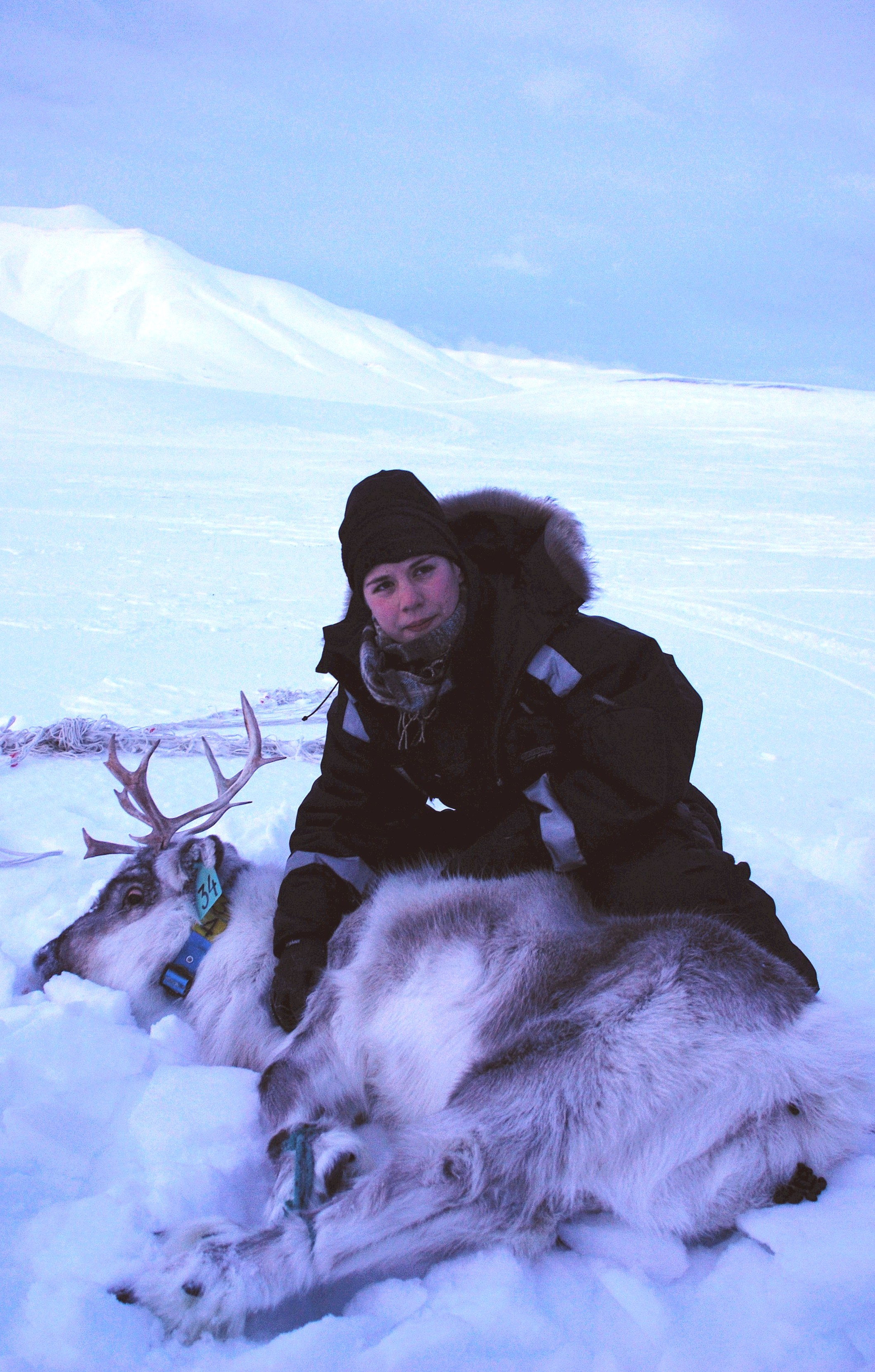 Anja with reindeer on Svalbard